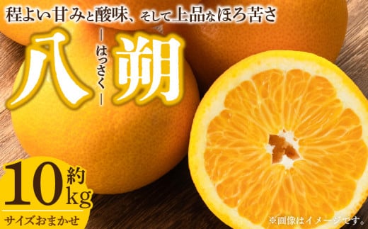AB6035_有田育ちの濃厚 不知火 （デコポンと同品種）（訳あり