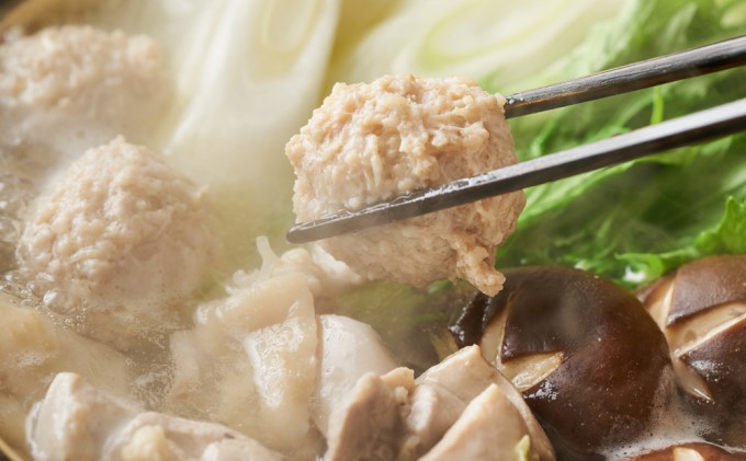 鶏 水炊き ハーブ鶏 九州産 2人前×2セット 計4人前 福岡県の名物 鶏水炊き 配送不可 離島 鍋セット 水炊きセット 骨付き鳥モモ 手作りつみれ 米粉麺付き 鍋物 夕飯 晩御飯 