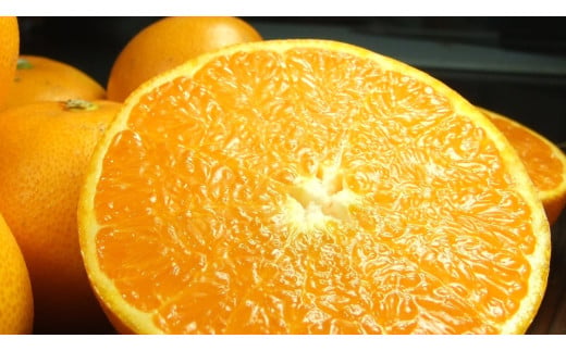 �y�a�̎R���L�c�S���󒬁zV7410_���Ƃ� �G�i ��5kg �a�̎R���L�c�Y �t�݂��� �t���k (�ʎ��T�C�Y���܂���)/�I�ɍ��������q��{��