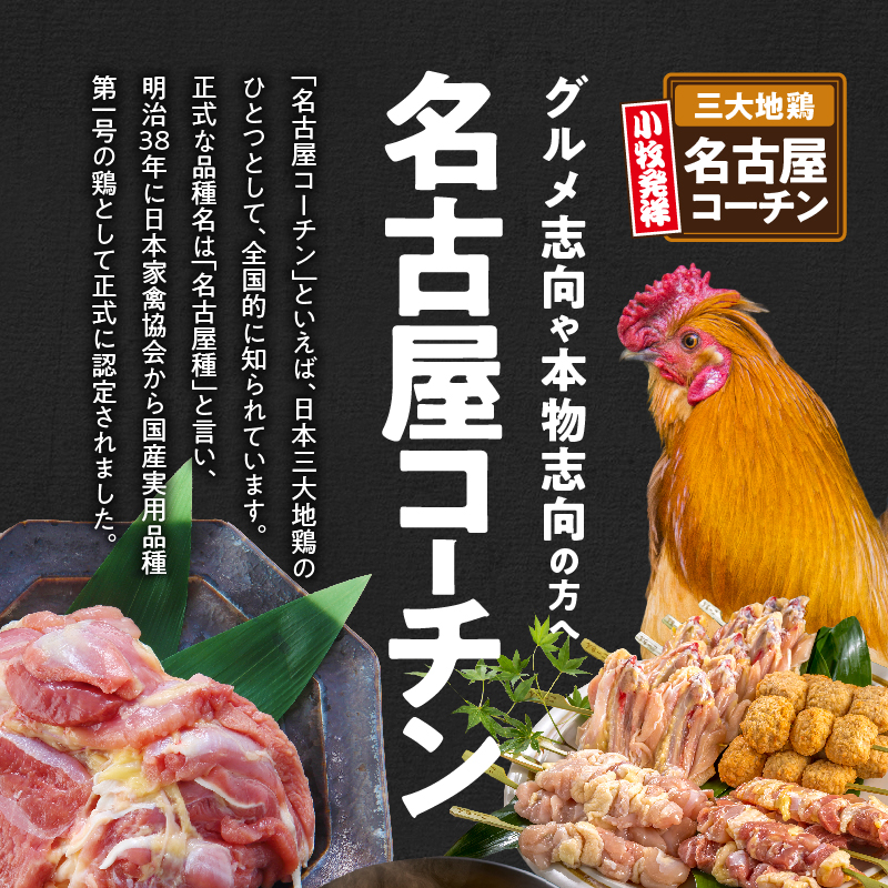 愛知県小牧市のふるさと納税 名古屋コーチン焼鳥　5種20本セット（もも・むね・手羽中・皮・つくね）[001T02]