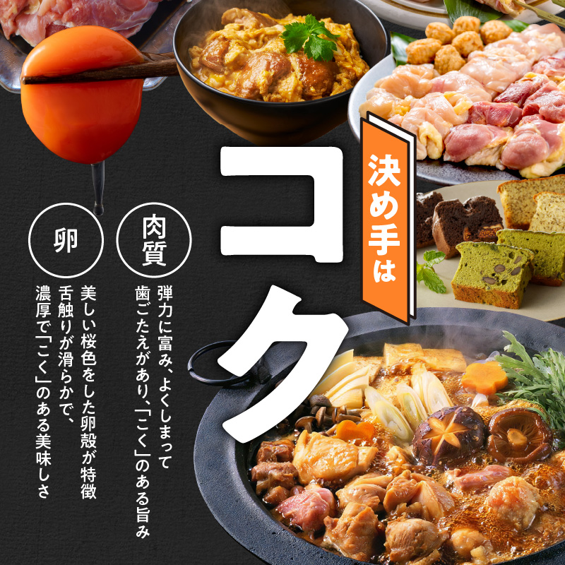 愛知県小牧市のふるさと納税 名古屋コーチン焼鳥　5種20本セット（もも・むね・手羽中・皮・つくね）[001T02]