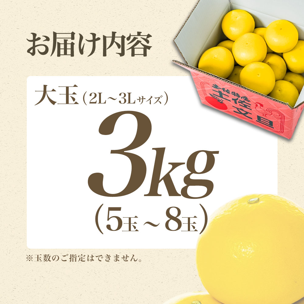 【日本ギフト大賞2024受賞】【先行予約】文旦 大玉3kg（3L～2L）2026年1月下旬より順次発送 土佐文旦 みかん 柑橘 ぶんたん ブンタン 果物 フルーツ お取り寄せ おいしい 家庭用 贈答用 土佐市 高知 ふるさと納税 春 旬 返礼品 高知県 高知 8000円