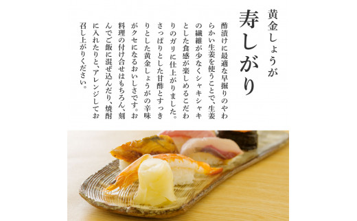 SNS005　国産黄金しょうが寿しがり1kg×3袋 -  ガリ しょうが ショウガ 生姜 坂田信夫商店 黄金しょうが 国産 お寿司 付け合せ 寿司用がり ふるさとのうぜい 故郷納税 15000円 返礼品 高知