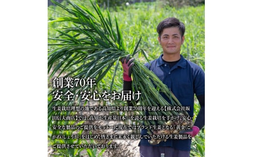 SNS004　高知県産ハウス黄金新しょうが4kg - しょうが ショウガ 生姜 坂田信夫商店 新生姜 新鮮  黄金しょうが 高知 国産 生姜焼き しょうが湯 ふるさとのうぜい 故郷納税 16000円 返礼品