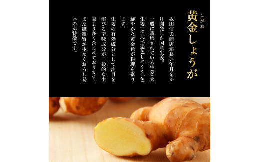 SNS001　高知県産黄金しょうが2kg -  しょうが ショウガ 生姜 坂田信夫商店 黄金しょうが 高知 国産 生姜焼き しょうが湯 ふるさとのうぜい 故郷納税 8000円 返礼品 高知県産
