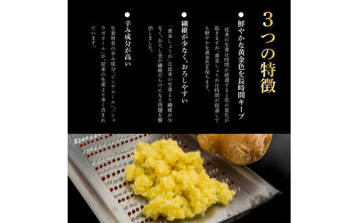 SNS001　高知県産黄金しょうが2kg -  しょうが ショウガ 生姜 坂田信夫商店 黄金しょうが 高知 国産 生姜焼き しょうが湯 ふるさとのうぜい 故郷納税 8000円 返礼品 高知県産