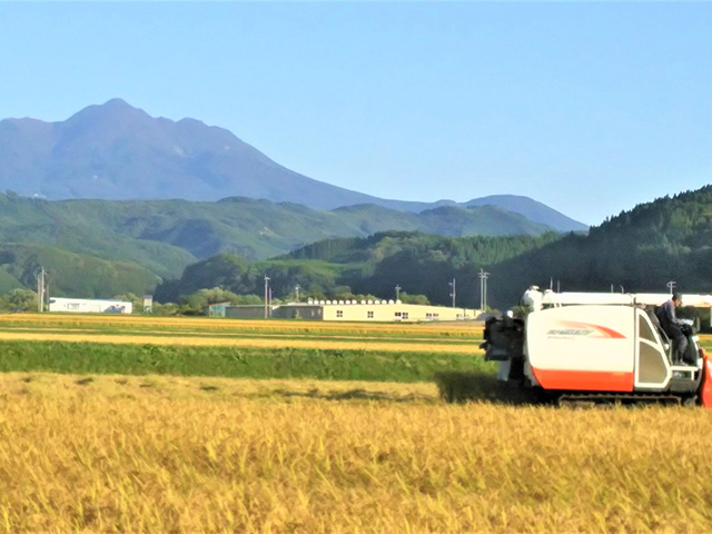 米 令和7年産 まっしぐら 玄米 10kg (5kg×2袋) こめ お米 おこめ コメ ご飯 ごはん 令和7年  山下農園 青森 青森県 鯵ヶ沢町 