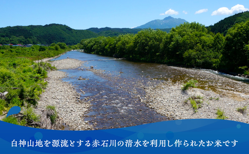 米 令和7年産 まっしぐら 玄米 10kg (5kg×2袋) こめ お米 おこめ コメ ご飯 ごはん 令和7年  山下農園 青森 青森県 鯵ヶ沢町 