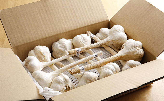 にんにく ハリマ王 600～800g 2026年度産 兵庫県産 野菜 ニンニク 個性派 独自栽培 国産 スタミナ おつまみ  