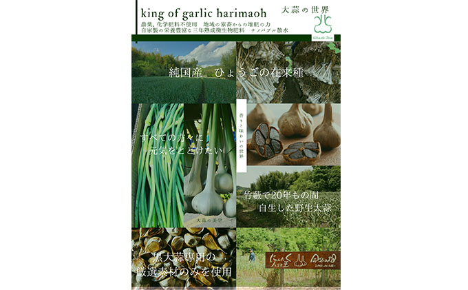 熟成KUROはりま王にんにく 31粒入り 野菜 薬味 ニンニク 黒にんにく 