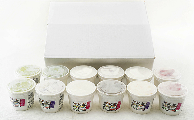 オリジナル ジェラート アイス 12個 セット 9種 アイスクリーム スイーツ デザート バニラ チョコ フルーツ ミルク 抹茶 いちご お菓子 菓子 カップ 