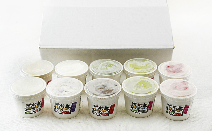 オリジナルジェラートアイス10個セット（5種） お菓子 カップ 