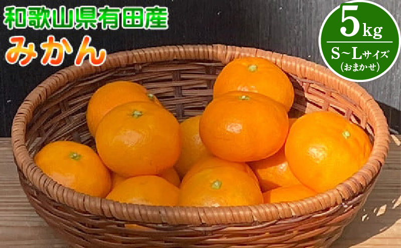BT6011n_和歌山県有田産 みかん 5kg　L～Sサイズ（おまかせ）
