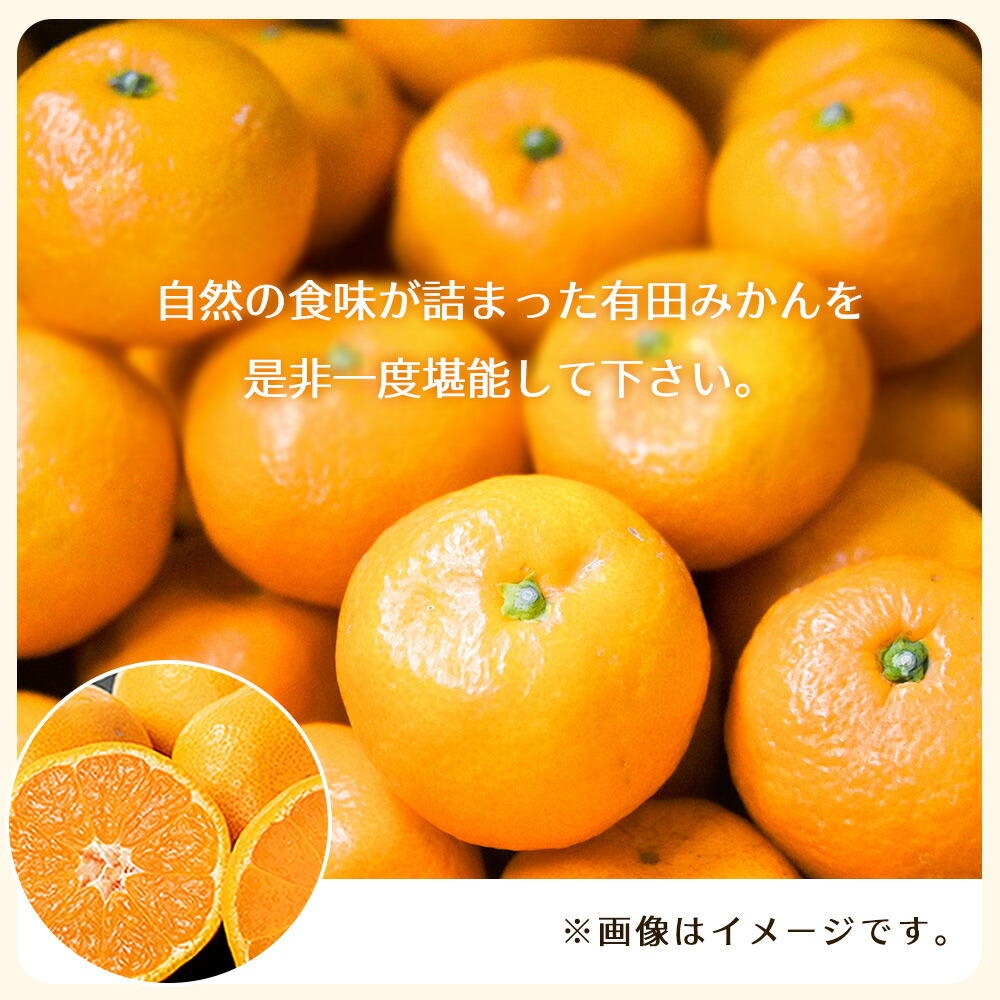 BT6011n_和歌山県有田産 みかん 5kg　L～Sサイズ（おまかせ）
