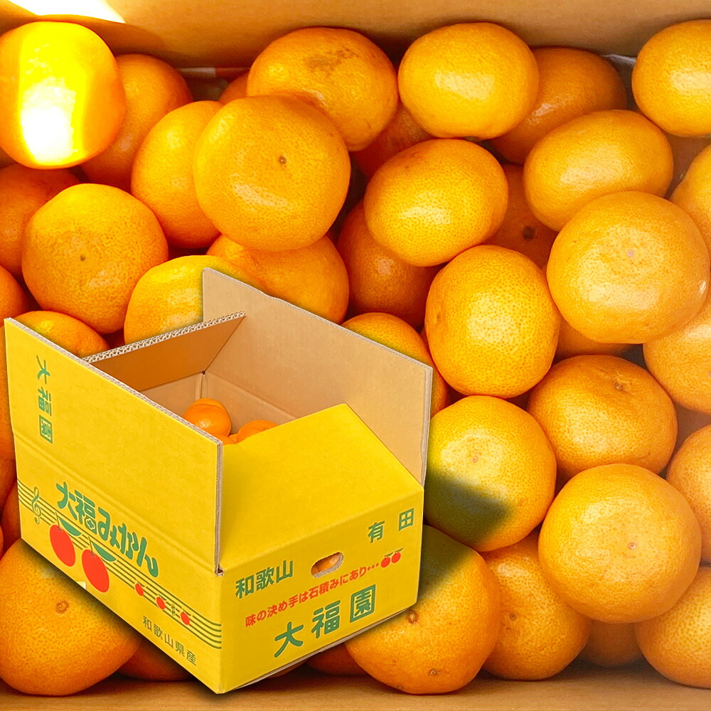 BT6011n_和歌山県有田産 みかん 5kg　L～Sサイズ（おまかせ）
