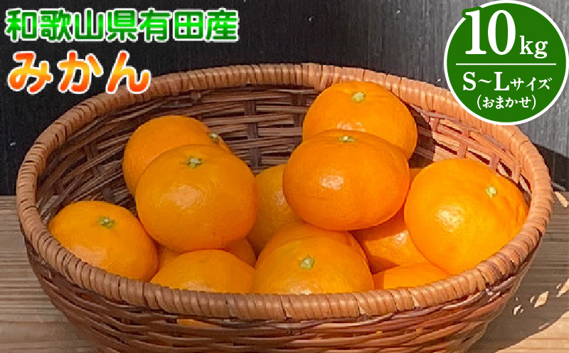 BT6013n_和歌山県有田産 みかん 10kg　L～Sサイズ（おまかせ）
