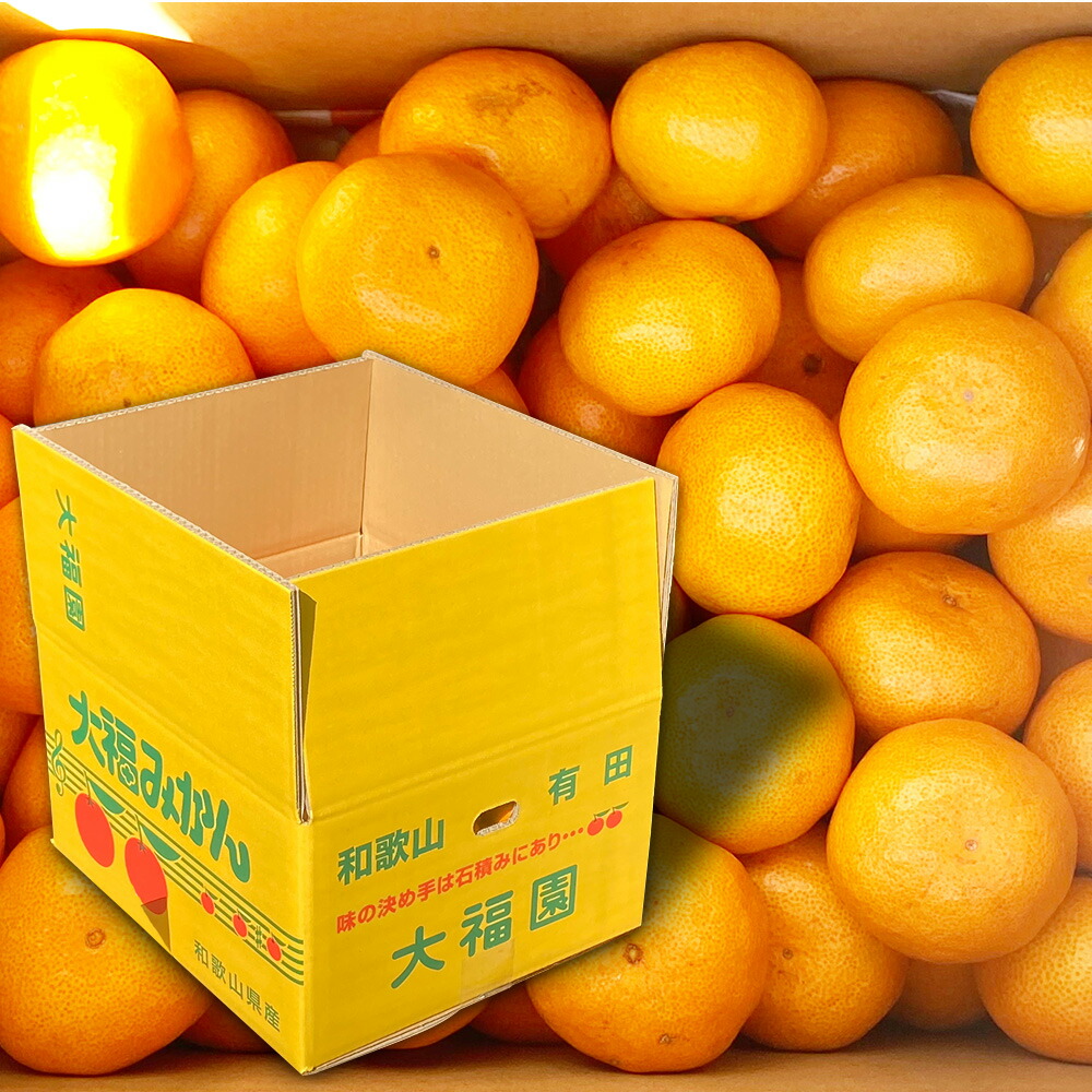 BT6013n_和歌山県有田産 みかん 10kg　L～Sサイズ（おまかせ）

