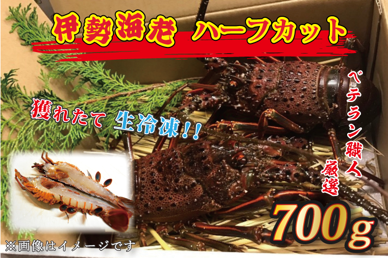 【12月25日決済確定分まで年内発送】生冷凍 伊勢海老 ハーフカット 700g 冷凍 国産 伊勢エビ イセエビ いせえび 海老 エビ えび おせち 刺身 焼き物 味噌汁