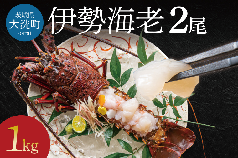 生冷凍 伊勢海老 2尾 1kg 冷凍 国産 伊勢エビ イセエビ いせえび