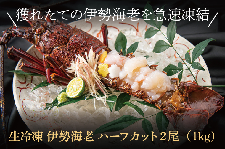 伊勢海老 伊豆産 約2㎏ 本日限定 伊勢海老 伊豆産 約2㎏ 本日限定