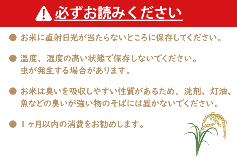 令和7年産 茨城 コシヒカリ 10kg (5kg×２袋) 新米 米 お米 おこめ 白米 ライス ご飯 精米 こしひかり 国産 茨城県産
