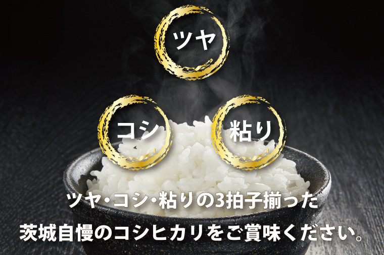 令和7年産 茨城 コシヒカリ 10kg (5kg×２袋) 新米 米 お米 おこめ 白米 ライス ご飯 精米 こしひかり 国産 茨城県産