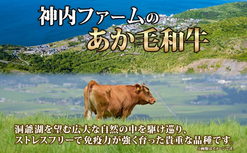 洞爺 あか牛 焼肉用 (バラ肉) 1kg(200g×5パック) 北海道 洞爺湖 お肉 牛肉 バーベキュー おうち焼肉 BBQ ジューシー ヘルシー 赤身本来のうまみ コク 柔らかい 