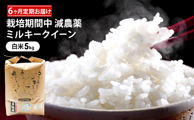 米 定期便 6ヶ月 栽培期間中 無農薬 ミルキークイーン 5kg 白米 精米 こめコメ 福井県認証特別栽培米 化学肥料化学合成農薬不使用 ブランド米 ご飯 ミルキークィーン 6回 半年 お楽しみ 福井 福井県 若狭町
