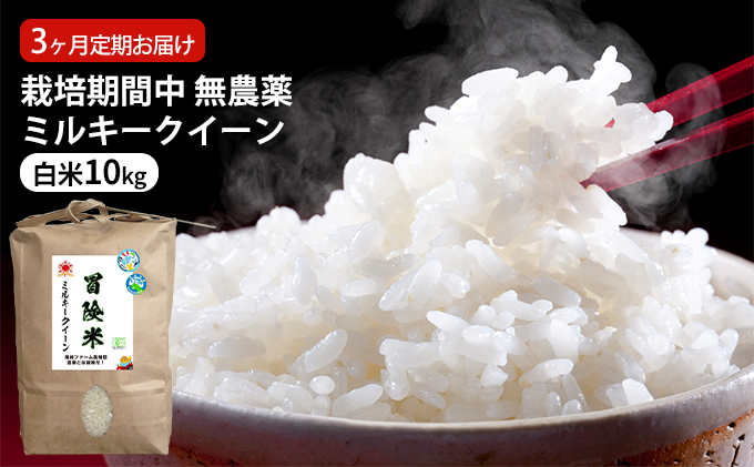 栽培期間中 無農薬ミルキークイーン 白米10kg 3ヶ月定期お届け お米ブランド米 精米 ご飯 おにぎり お弁当 和食 福井県認証特別栽培米 もちもち 冷めてもおいしい 