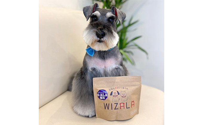 獣医師が開発！ ウィズアラ 成犬成猫用（犬猫用サプリメント）ペット サプリ 健康 愛犬 愛猫 サポート ケア 5-ALA ネオファーマジャパン 袋井市 成犬用 アミノ酸 安心 カツオ粉末配合 パウダー 粉末 個包装 獣医師開発 
