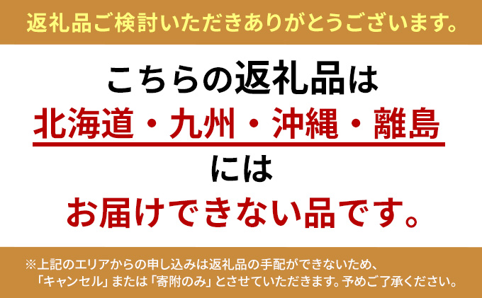 日野　17レンジャー専用（ハイルーフ/標準ボディ用）オーバーヘッドコンソール　【パイプ付】 車用品 トラック用品 内装パーツ 内装アクセサリー 空間活用 収納 寝具 着替え 荷物 収納場所 