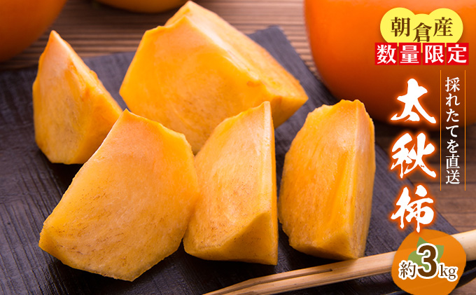 yqszys\z` H` 3kg  ʕ t[c ʕ ʎ fU[g  H H̖o {̉ʕ G߂̖ Y {Y