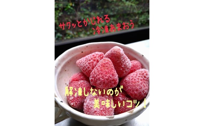 冷凍いちご あまおう フローズン イチゴ 約150g×5袋 加工食品 果物類 冷凍フルーツ 冷凍あまおう おやつ 間食 デザート そのまま スムージ 
