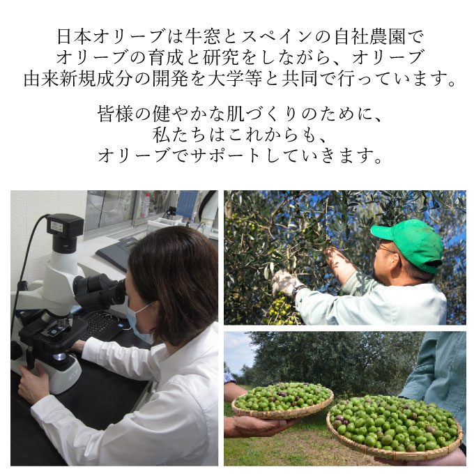 オリーブマノングリーンローション＆化粧用オイルセット 美容グッズ スキンケア 化粧水 