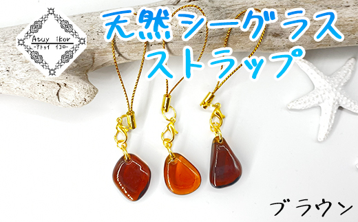 �y�k�C���������zAtuy ikor �V�R�V�[�O���X�X�g���b�v �u���E��