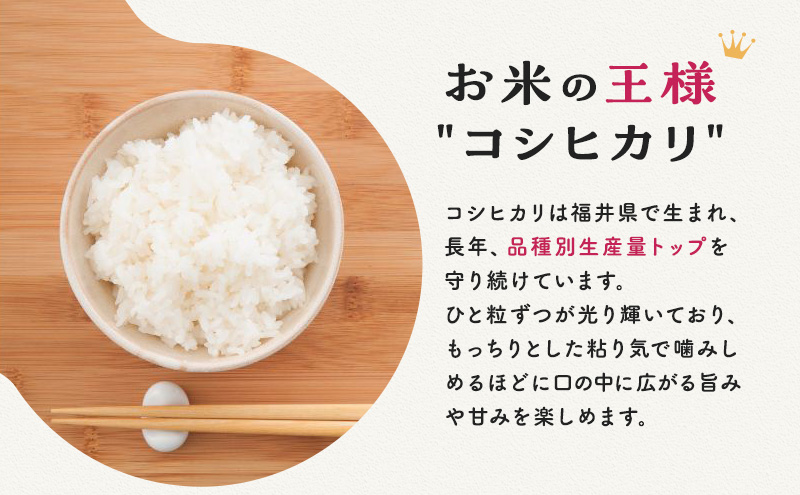 【令和5年福井県若狭町産】コシヒカリ（1等米）精米10kg お米ブランド米 白米 ご飯 おにぎり お弁当 和食 粘り もちもち 甘み 安心 安全