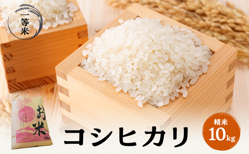 【令和5年福井県若狭町産】コシヒカリ（1等米）精米10kg お米ブランド米 白米 ご飯 おにぎり お弁当 和食 粘り もちもち 甘み 安心 安全 