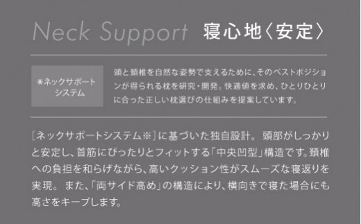 【西川】ＡｉＲ４DXピロー/高め　配色：ロイヤルブルー【P293W】