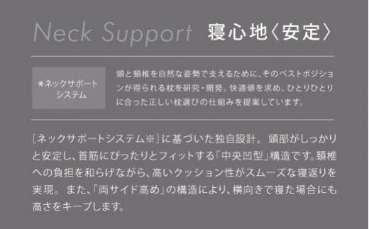 【西川】ＡｉＲ４DXピロー/低め　配色：レッド【P294W】