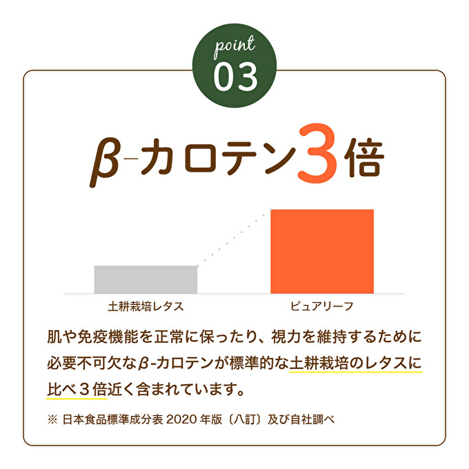 レタス ピュアリーフ 4個入り  リーフレタス 栽培期間中 無農薬 野菜 季節の野菜 旬の野菜 新鮮 サラダ 付け合わせ  最新植物工場レタス