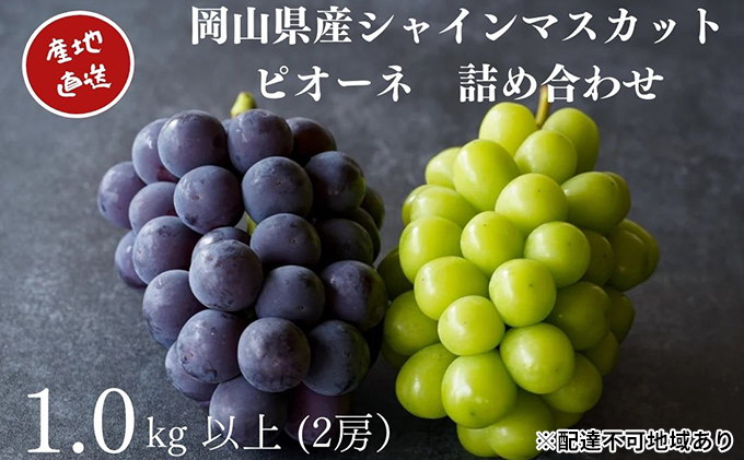 yRʖszI VC}XJbgEj[sI[l 2[ v1.0kgȏ l Yn ̂ Ԃǂ  Kawahara Green Farm RY 2026N ʕ t[c lC Â Zbg