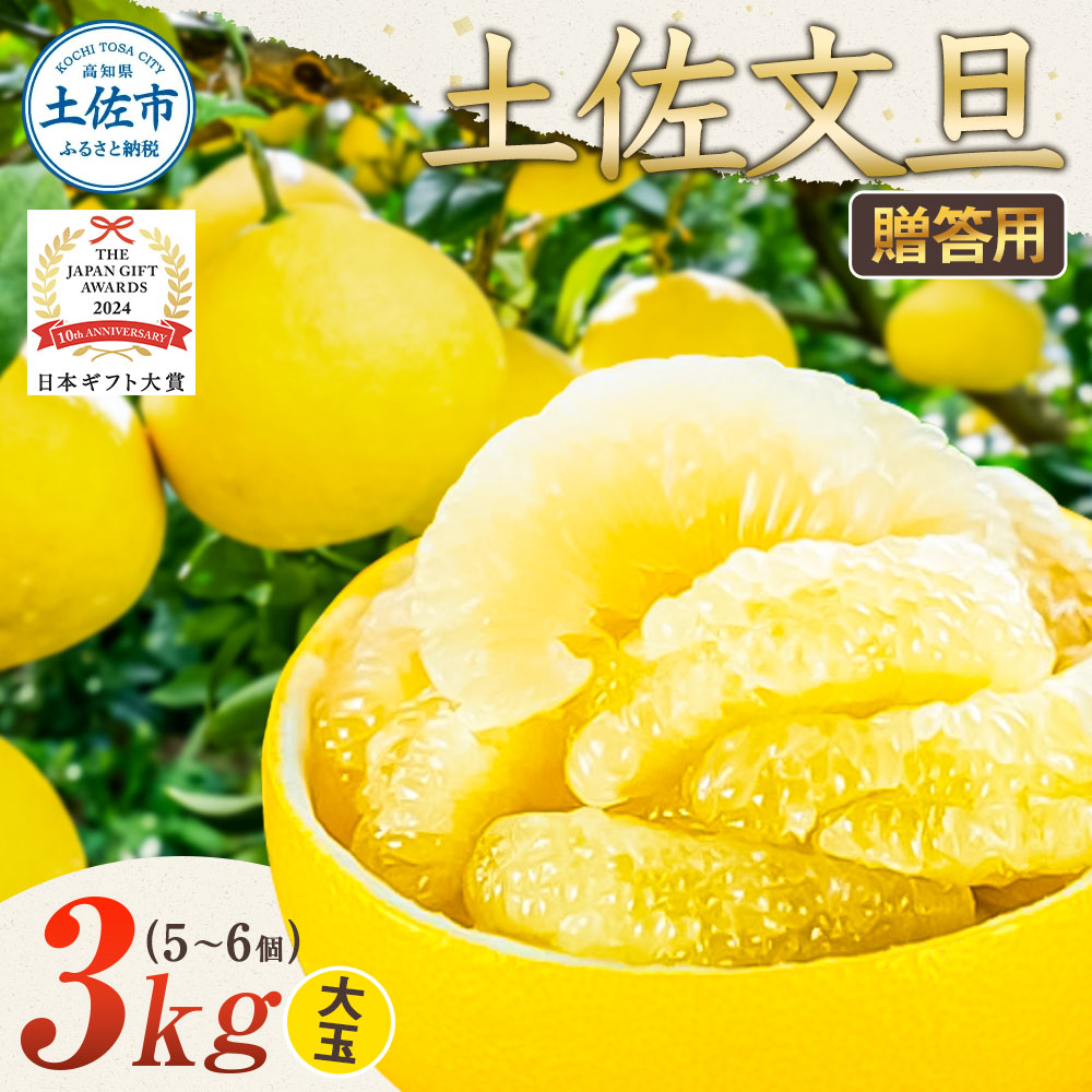 【日本ギフト大賞2024受賞】園主こだわり土佐文旦【化粧箱贈答用：大玉3kg】（3L～2L） 2026年1月下旬より順次発送 ぶんたん ブンタン 柑橘 フルーツ 果物 贈答 ギフト 土佐 高知 やの一果彩