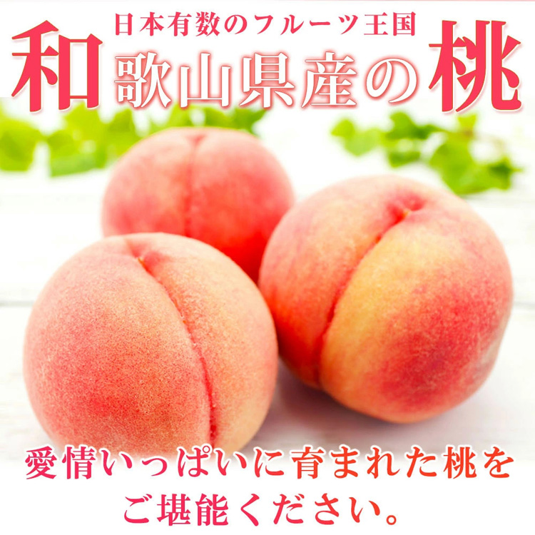 【和歌山県美浜町】紀州和歌山産の桃 15玉 化粧箱入◇ ※2026年6月下旬〜8月上旬頃に順次発送予定