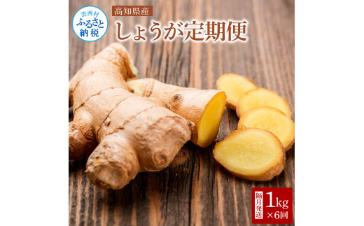t184yty　高知県産 生姜 定期便 〈隔月発送 1kgｘ6回 合計6kg〉 ショウガ しょうが 土佐一 定期便 定期コース 6ヶ月 野菜 ジンジャー おかず 料理 生姜焼き 生姜湯 薬味