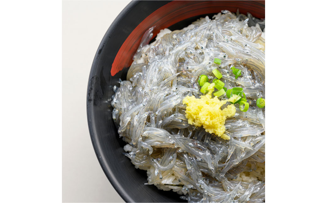 YTY006　高知県産 生姜 4kg 土佐一 お取り寄せ まとめ買い 大量 美味しい 健康 野菜 ジンジャー おかず 料理 生姜焼き しょうが湯 薬味 故郷納税