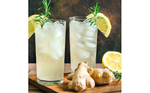 YTY006　高知県産 生姜 4kg 土佐一 お取り寄せ まとめ買い 大量 美味しい 健康 野菜 ジンジャー おかず 料理 生姜焼き しょうが湯 薬味 故郷納税