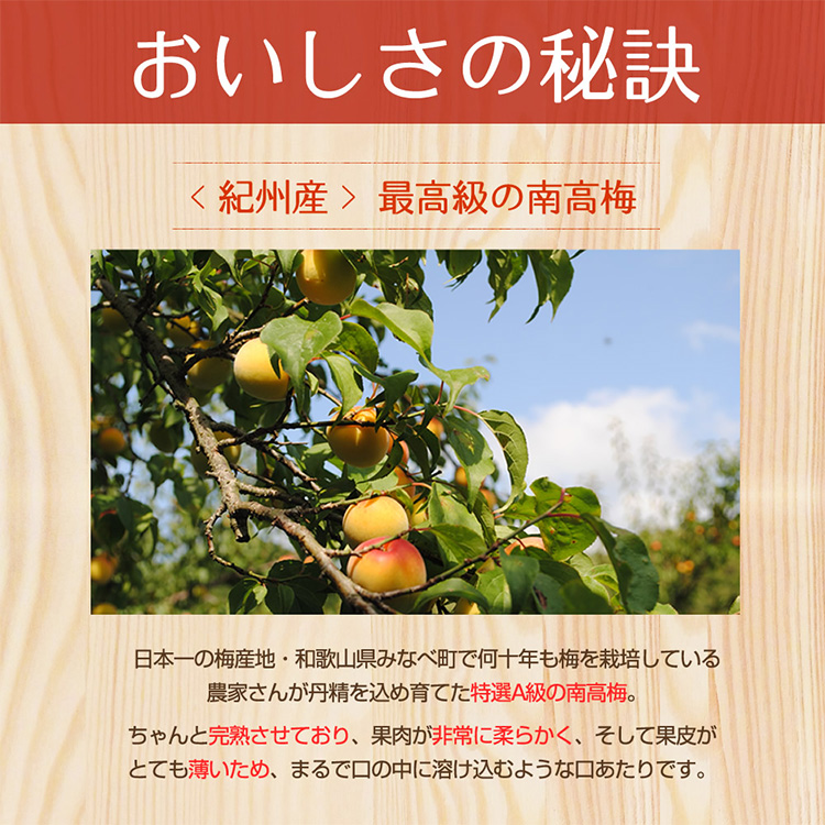 幸せのはちみつ梅干（紀州南高梅）700g◇