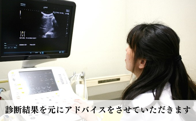 【1名様分】愛知国際病院 人間ドック受診チケット レギュラー半日コース 愛知県 健康診断  日帰り人間ドック 日帰り検査 循環器検査 脂質検査 呼吸器検査 消化器検査 乳がん検査 前立腺検査 