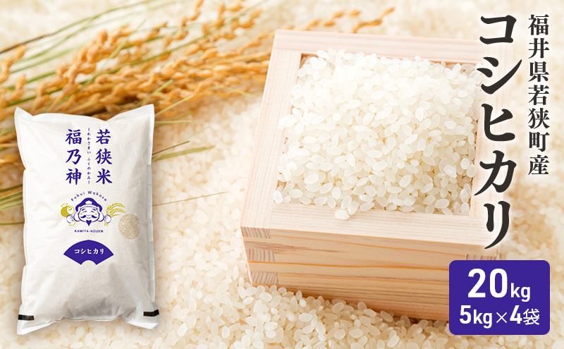 令和7年産 福井県若狭町 コシヒカリ （一等米） 20kg（神谷農園） 5kg×4袋 お米 ブランド米 銘柄米 ご飯 おにぎり お弁当 産地直送 和食 主食 