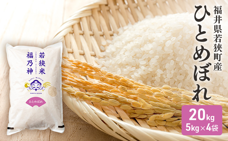令和7年産 福井県若狭町 ひとめぼれ （一等米） 20kg（神谷農園） 5kg×4袋 お米 ブランド米 銘柄米 ご飯 おにぎり お弁当 産地直送 和食 主食 